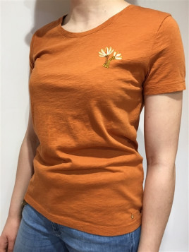 t-shirt des petits hauts...